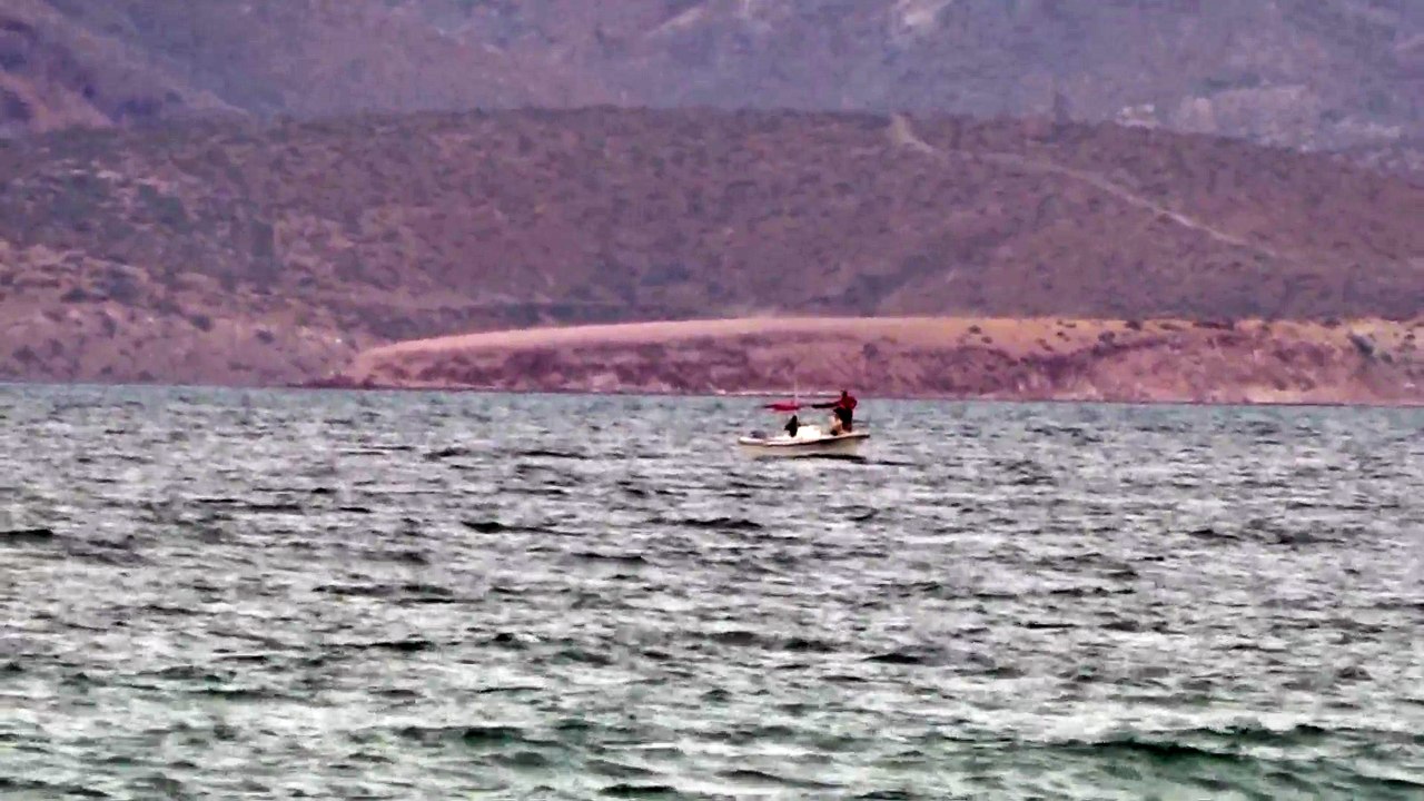 More Whale Watching in El Mogote