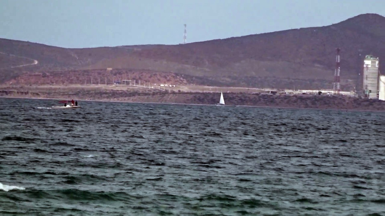 Whale watching, El Mogote