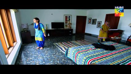 Saya e Dewar Bhi Nahi Episode 3 Full HD Hum TV Drama 24 Aug 2016