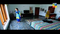 Saya e Dewar Bhi Nahi Episode 3 Full HD Hum TV Drama 24 Aug 2016