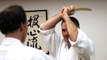 Les sélections techniques Aikido de Michel Erb Sensei Part 29