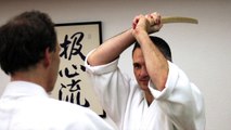 Les sélections techniques Aikido de Michel Erb Sensei Part 29