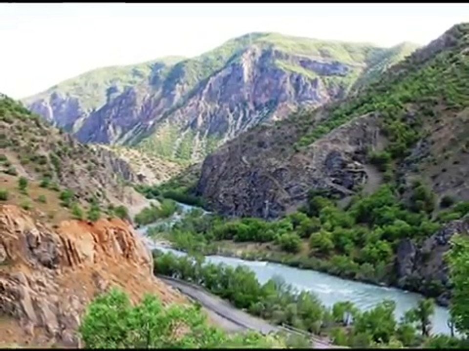 Zeytin Yaprağı Yeşil