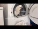 Pet Cockatoo Determined to Help With Laundry