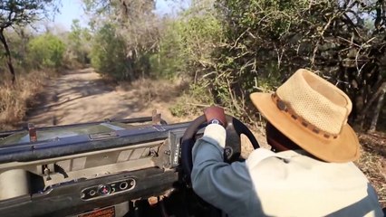 The Kingdom of Swaziland PROMO