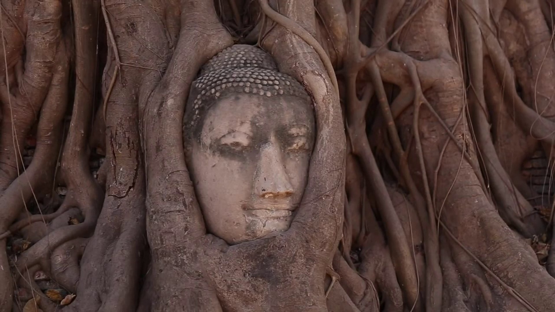 ⁣Ayutthaya, The Second Capital of Siam - Thailand