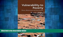 READ FREE FULL  Vulnerability to Poverty: Theory, Measurement and Determinants, with Case Studies