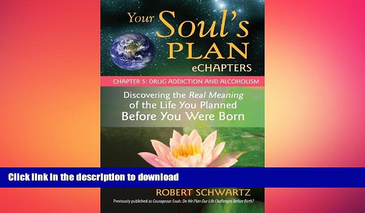 FAVORITE BOOK  Your Soul s Plan eChapters – Chapter 5: Drug Addiction and Alcoholism: Discovering