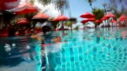 LET ROCK TOGETHER....DOLPHIN DIVERS BACK SOON