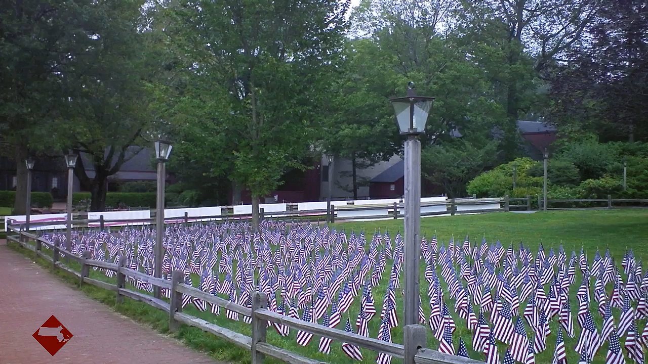 Entrance Flagged