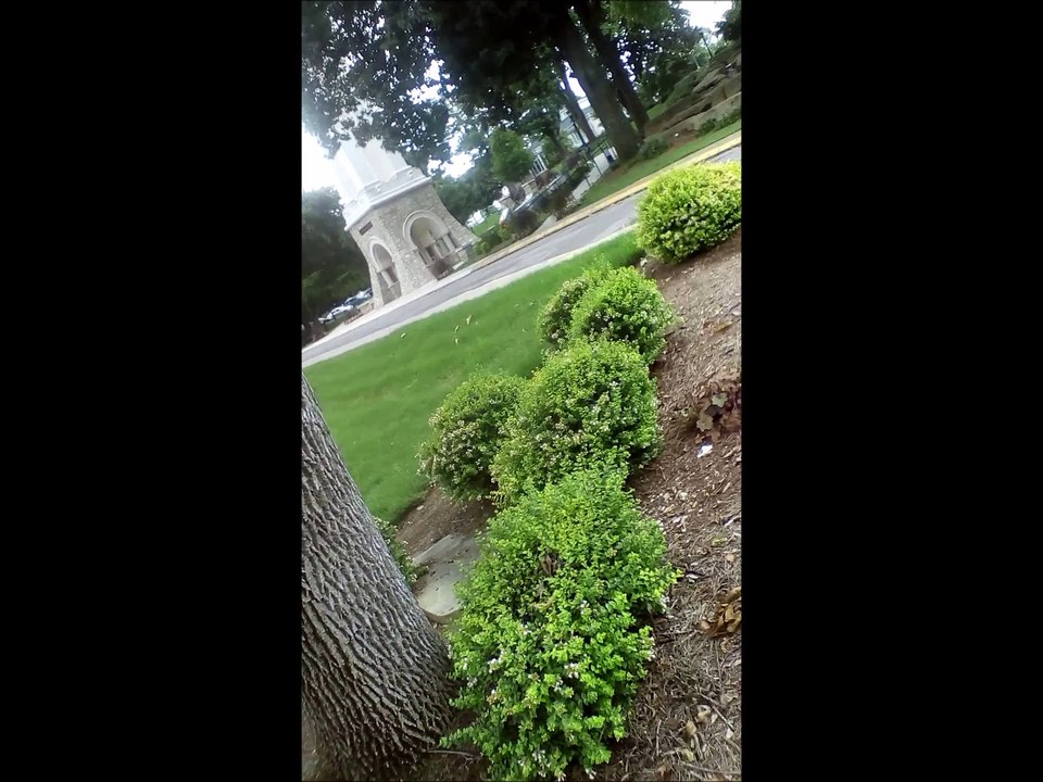 bryan hanson out and about walk film