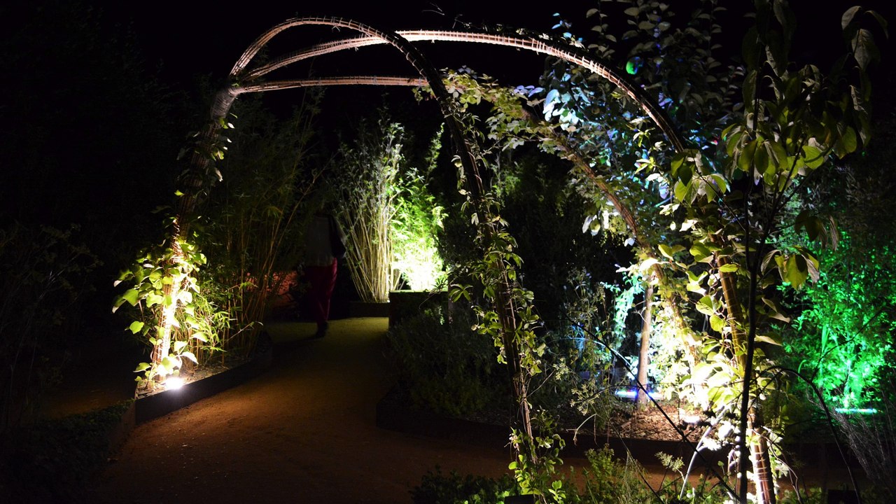 Chaumont-sur-Loire 2016 by night