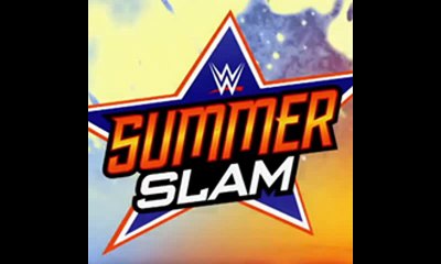 summerslam 2016 reults injury updates from the ppv jericho vs brock after the show