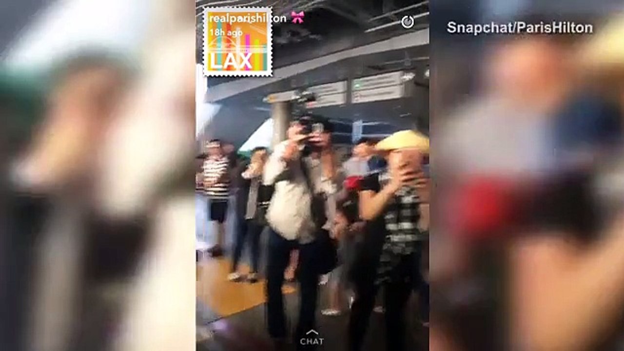 Paris Hilton greets her pooches as she arrives home from Ibiza