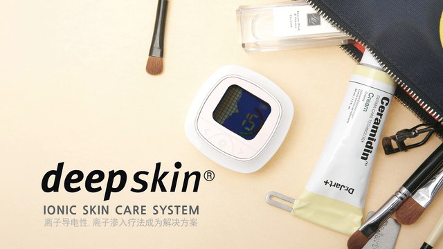 (中文) DeepSkin 使用办法 _ver2