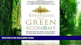 Big Deals  Strategies for the Green Economy: Opportunities and Challenges in the New World of
