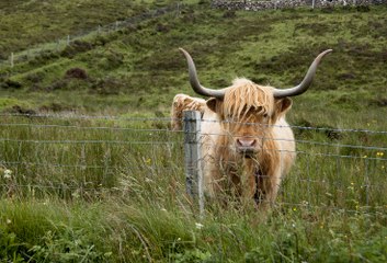 Résumé des vacances en Écosse