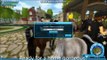 Star Stable ~ Buying a new Friesian Sport Horse!