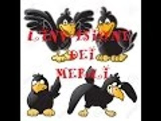 L'invasione dei merlini XD