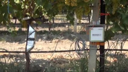 Asmalardaki Uç Kuruması "Sup Flowmeter" ile Engellenecek