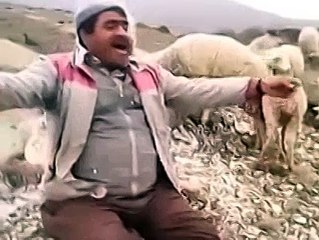 Mutlu olmak şartlara bağlı değil