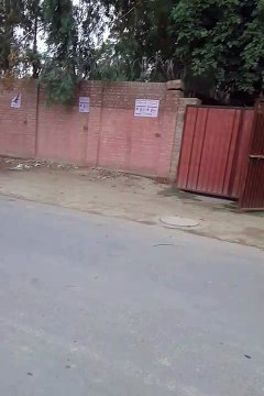 Rescue 1122 save crow life in Pakpattan, Pakistan.