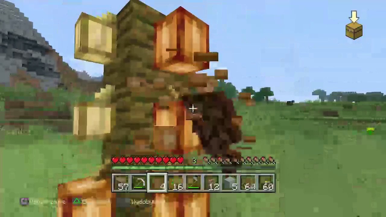 Minecraft (2)