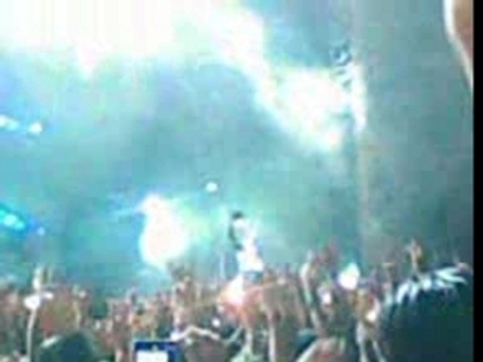 Muse Paleo 07