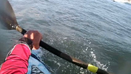 Surf kayaking at Polzeath August 2016