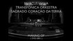 Marcus viana e Transfonica Orkestra - Solidariedade - - Making Of (2001 Concerts)