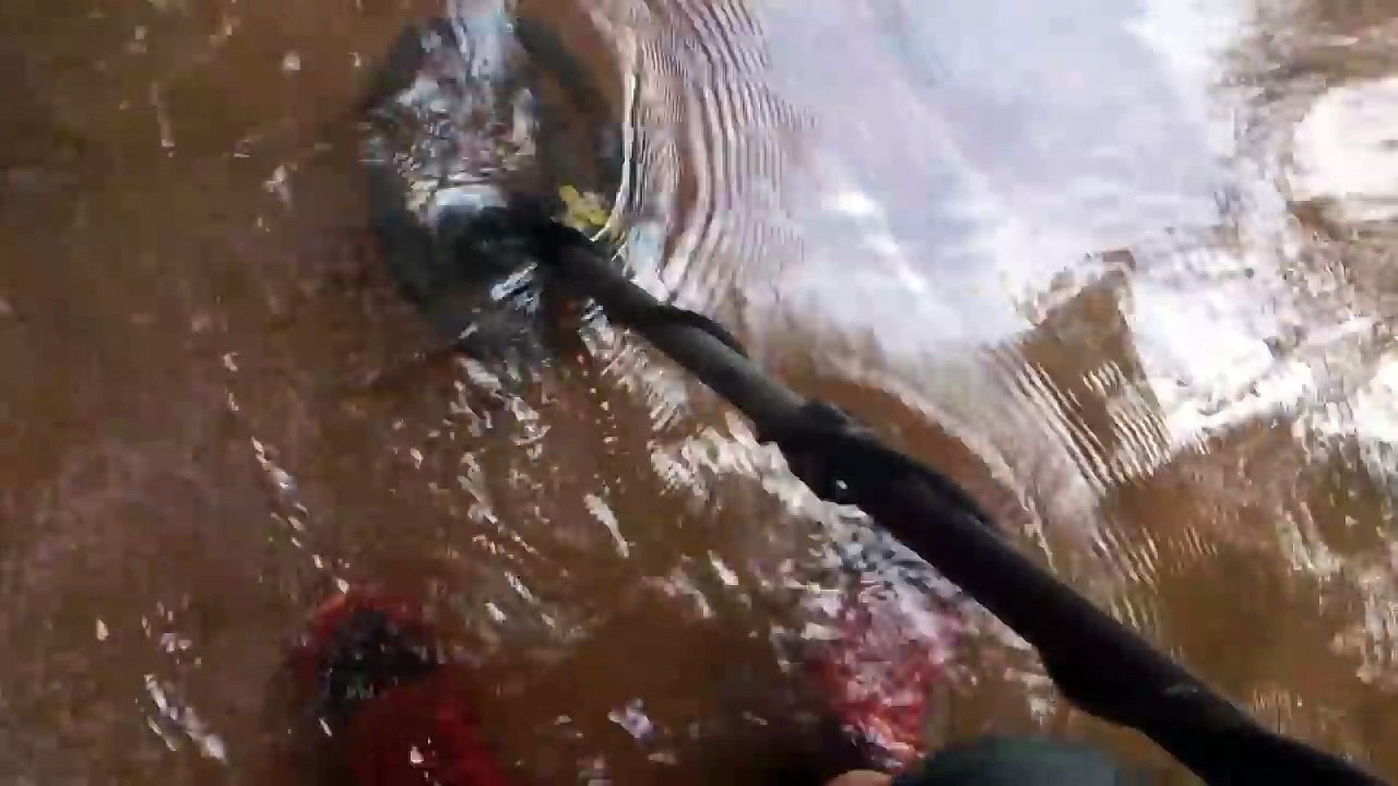 DETECTION EN MILLIEU AQUATIQUE ( 2 )