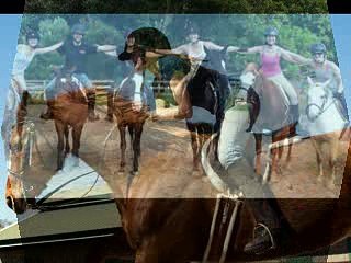 Gunnamatta Trail Rides