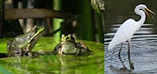 प्रेरणा कथा 19  कुछ करो अन्यथा मरो  Prerna Katha- Kuch Karo Anyatha Maro