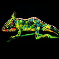 تمام لوگ جو موبائل رکھتے ہیں یہ ویڈیو ضرور دیکھیں