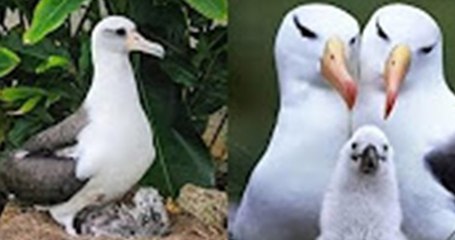 प्रेरणा कथा 20 मदद करें  पर जताएं नहीं  Prerna Katha- Madad Karein Par Jatayein Nahi