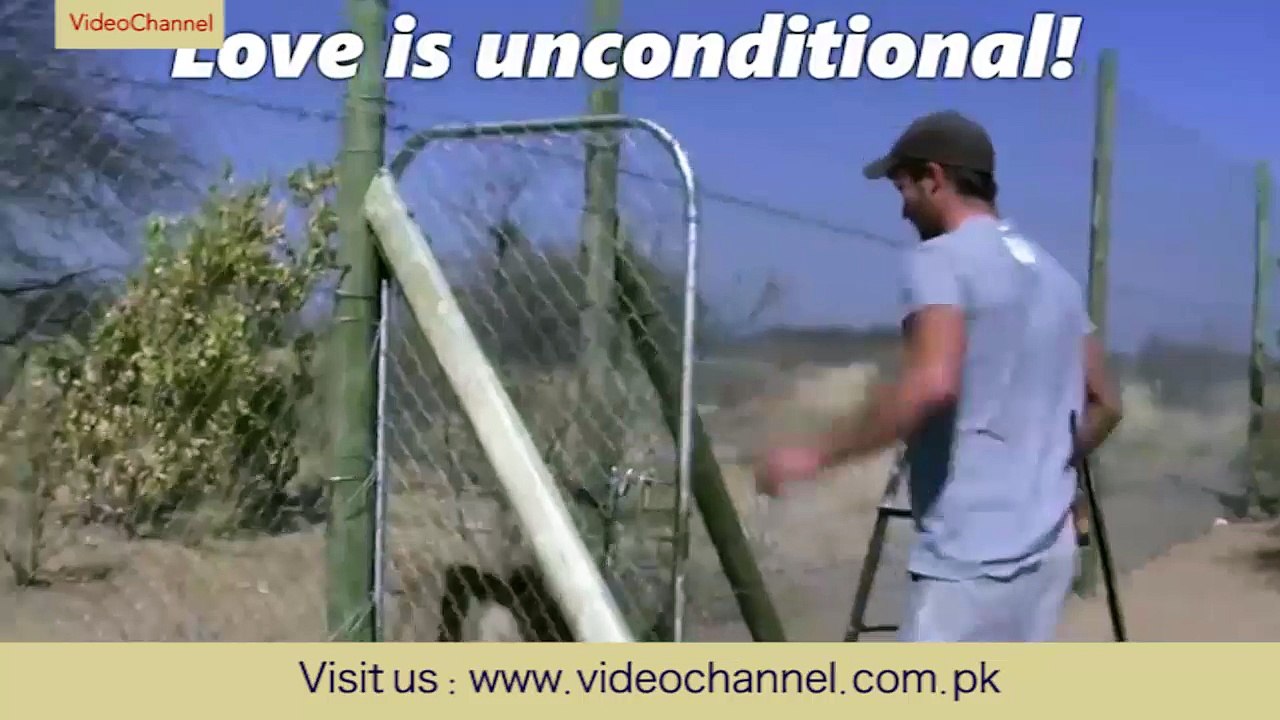 love is unconditional