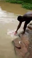 شکار کرنے کا نیا طریقہ بھی دیکھ لیں