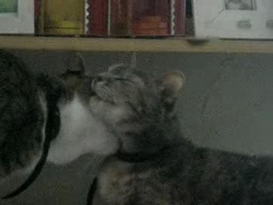 Mes 2 chéries