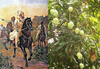 प्रेरणा कथा 21 सहनशीलता और दया  Prerna Katha Sahansheelta Aur