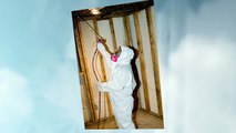 Find an Efficient Mold Removal Company
