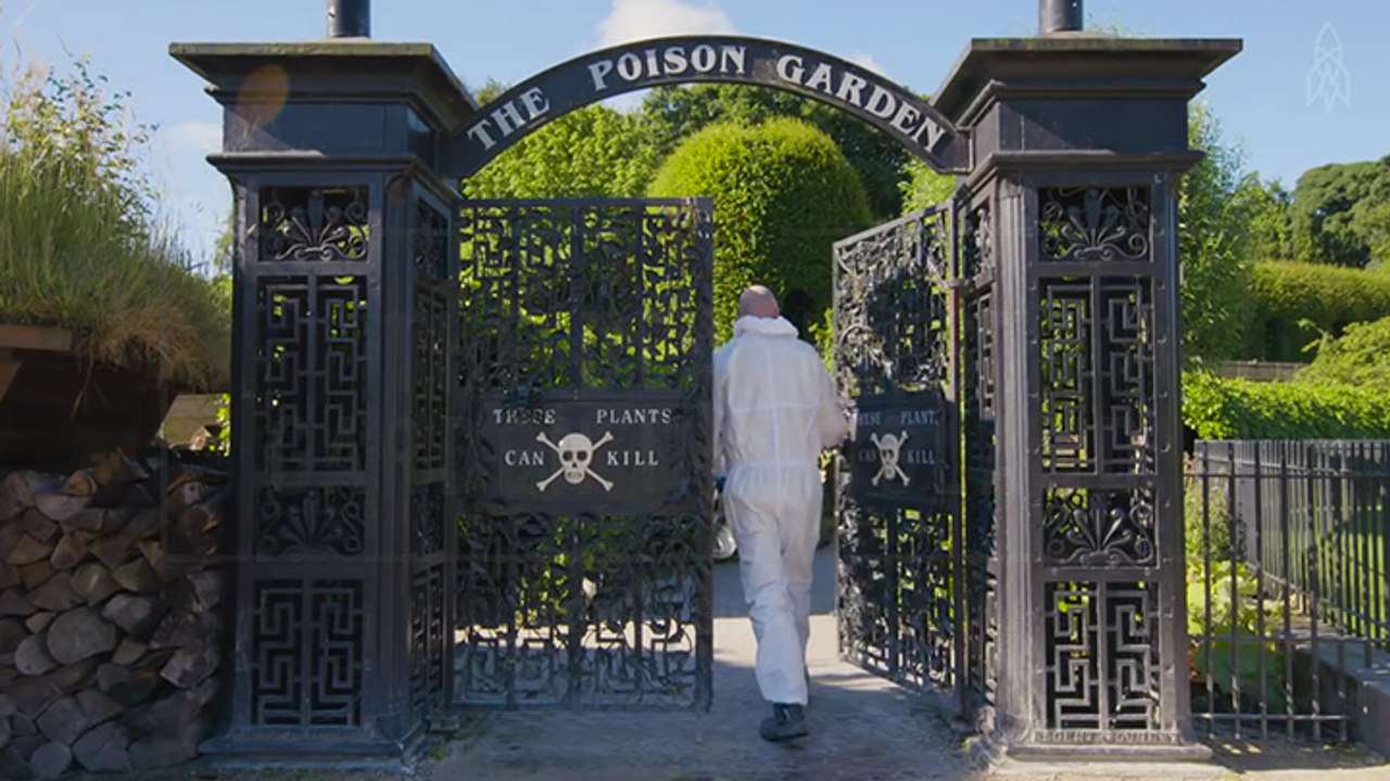 Un jardin de plantes toxiques
