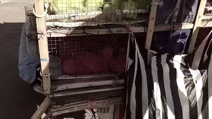 Александр Король - Книга Частоты 6 Серия - юродивый