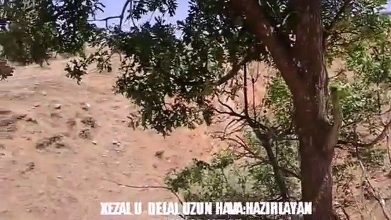YÜREK YAKAN KÜRTÇE MÜZÎK UZUN HAVA STRANE KURDÎ XEZAL U DELAL WELATEXU DURUM video 2016