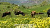 Yürek yakan kürtçe şarkı muhteşem şarkı strane kurdi SÎDAR BERÎTAN JI BONA AZADÎ WELAT BOŞE 2016