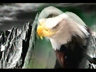 DANIEL GODRI-MOTIVACIONAL