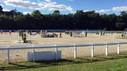 Arlequin de la Selune CCJP CIR 6ans D le lion d'Angers