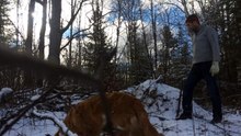Ces frères libèrent un aigle d'un piège et font un selfie avec l'animal. La photo fait le tour du web