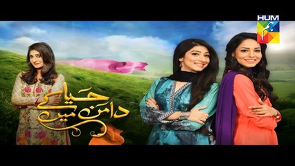 Haya Ke Daman Mein Episode 106 Full HD Hum TV Drama 25 August 2016