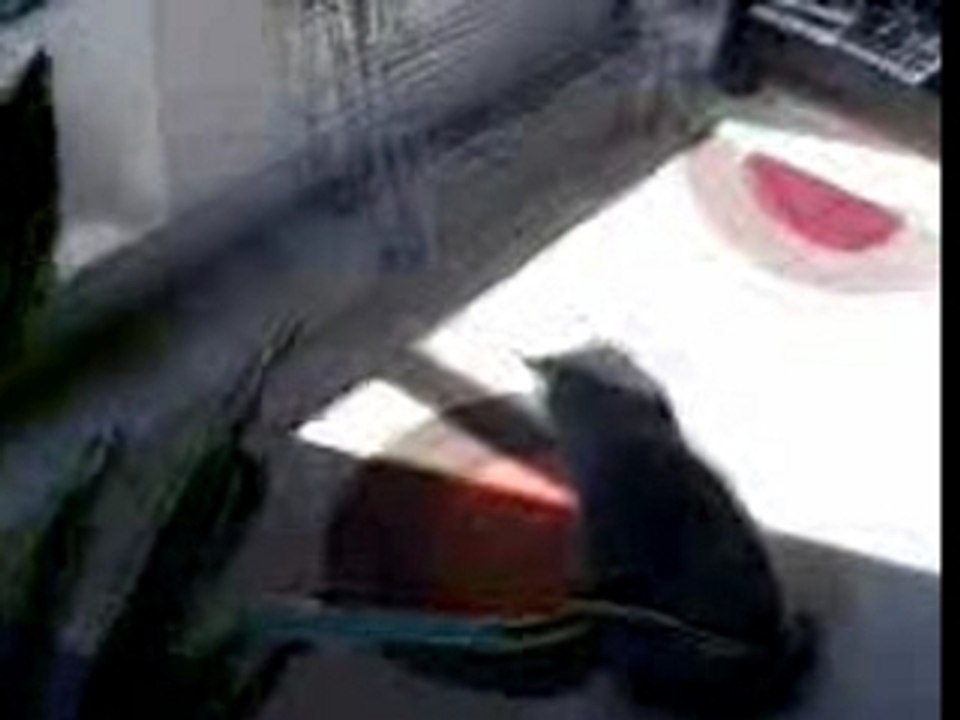 La decouverte du jour