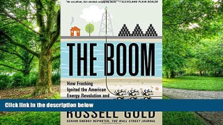 Must Have  The Boom: How Fracking Ignited the American Energy Revolution and Changed the World